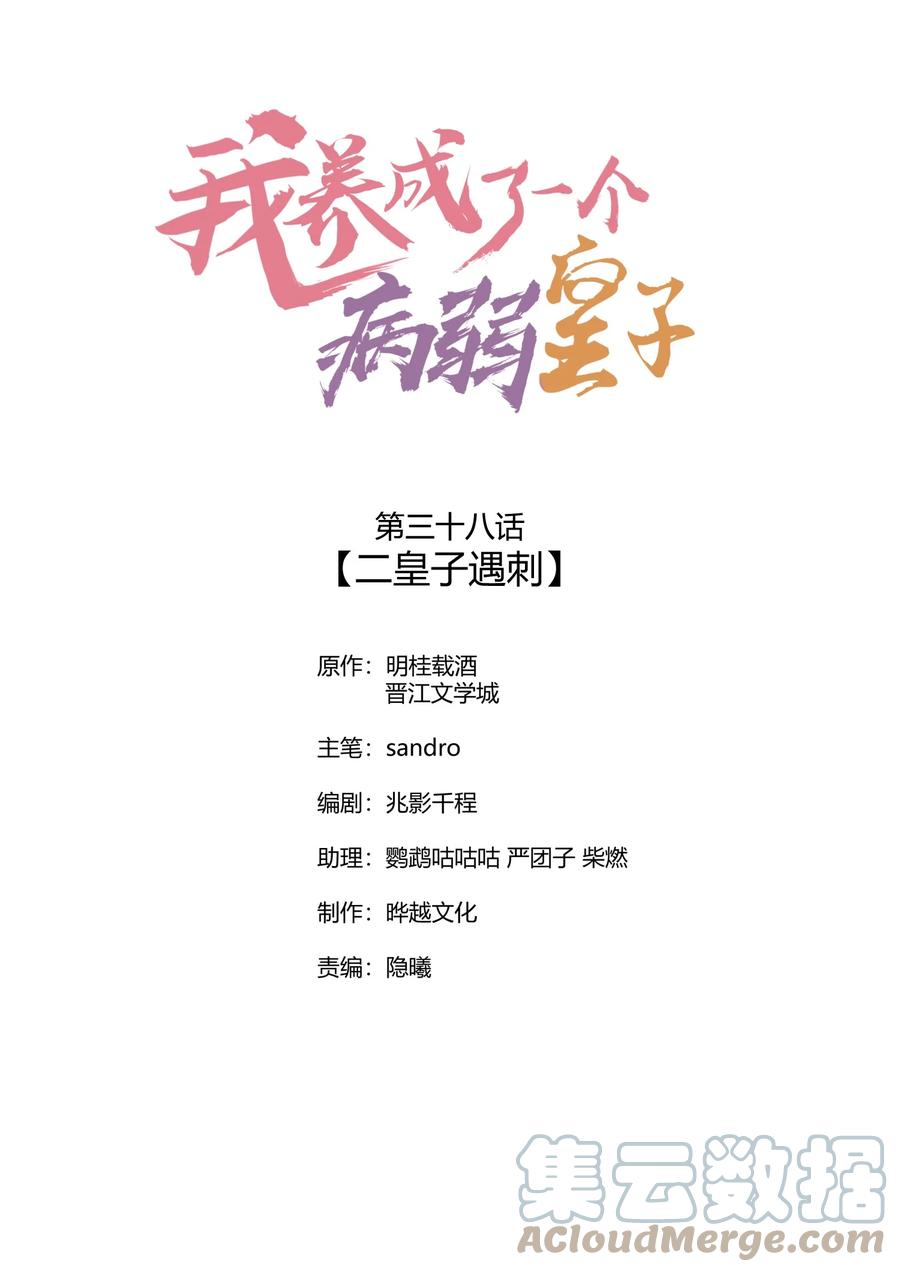 我养成了一个病弱皇子 038 二皇子遇刺 第1页