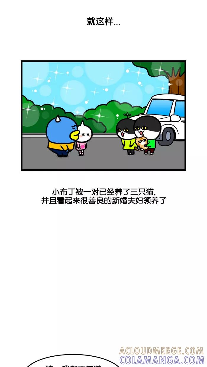 《我们结婚吧》[第198话] 小猫咪好可爱 第19页