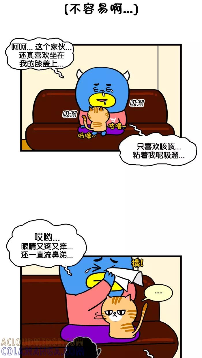 《我们结婚吧》[第198话] 小猫咪好可爱 第13页