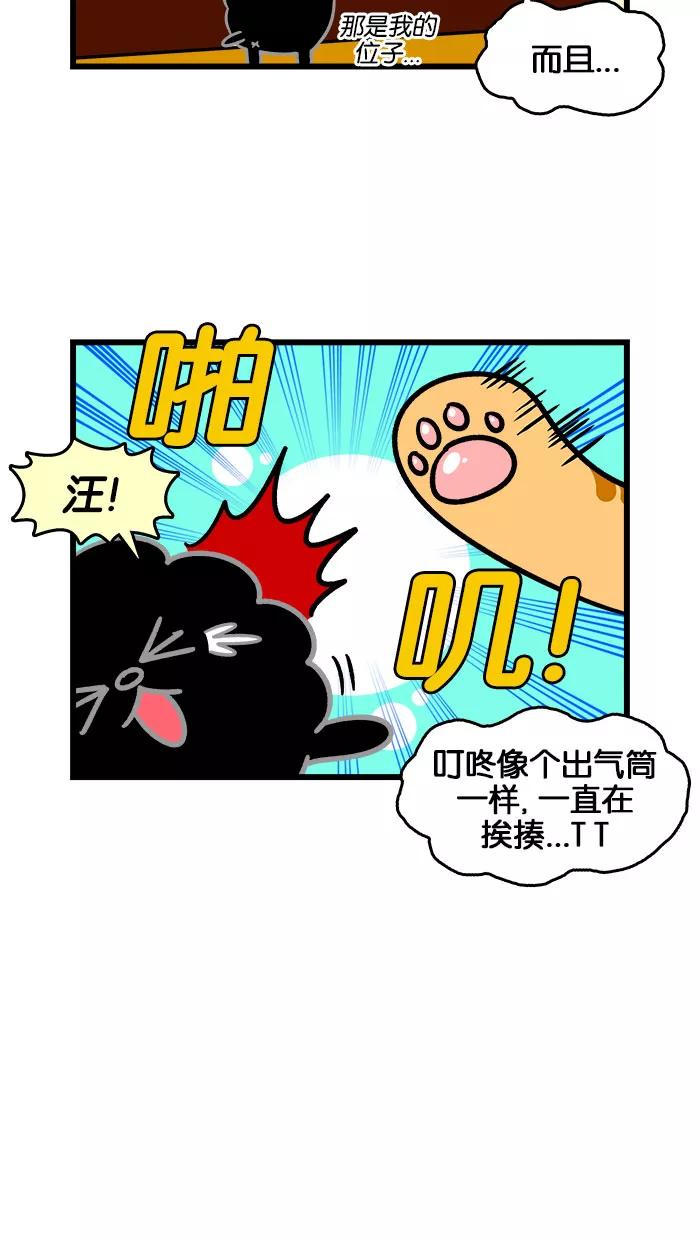《我们结婚吧》[第198话] 小猫咪好可爱 第14页