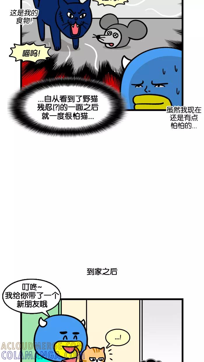 《我们结婚吧》[第198话] 小猫咪好可爱 第7页