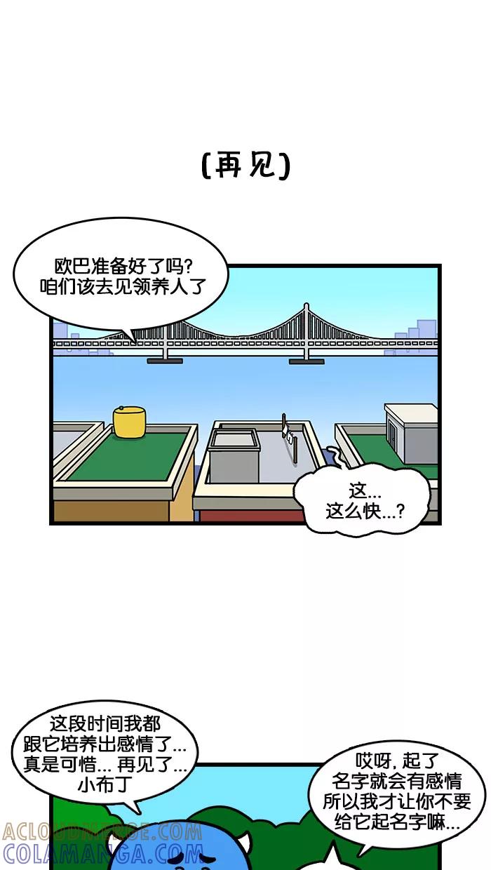 《我们结婚吧》[第198话] 小猫咪好可爱 第17页