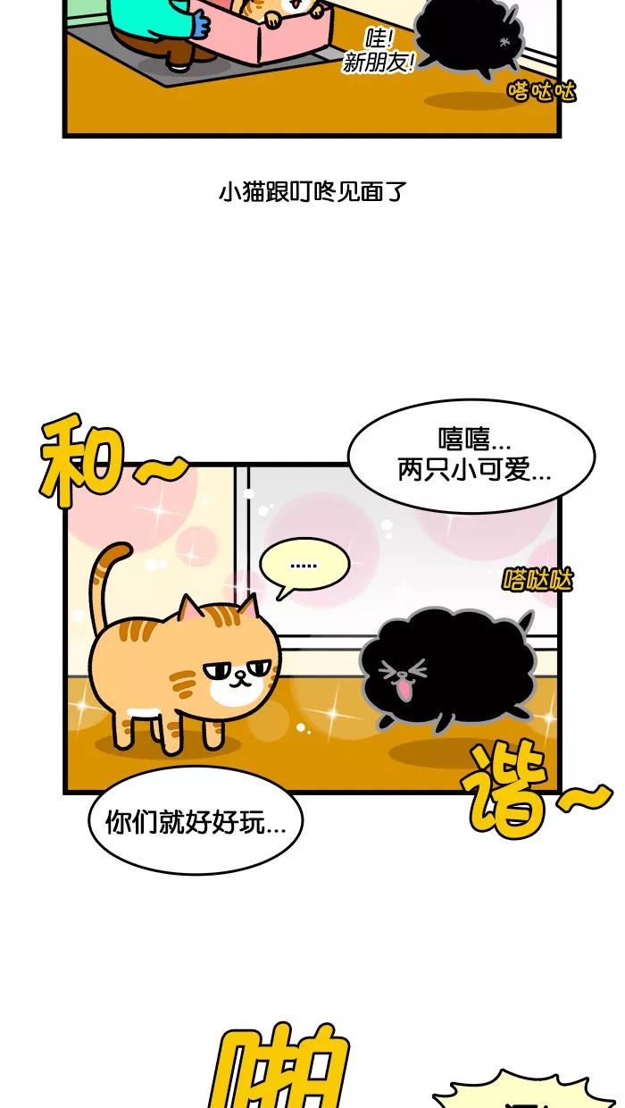 《我们结婚吧》[第198话] 小猫咪好可爱 第8页