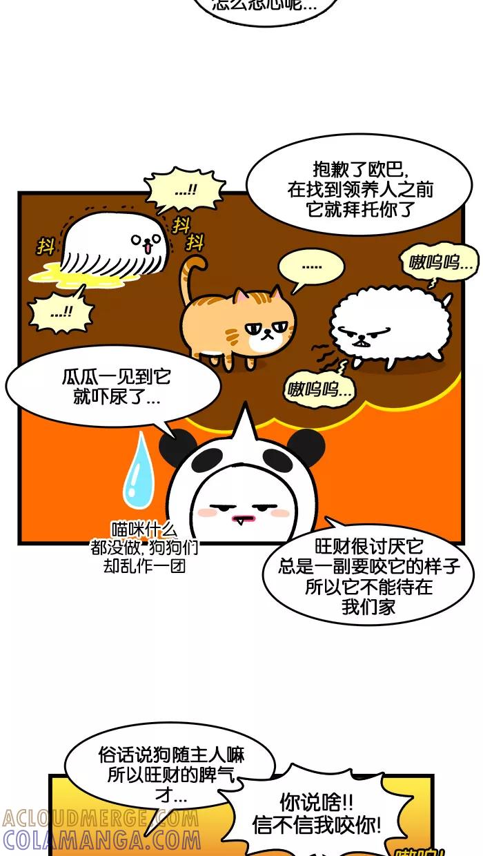 《我们结婚吧》[第198话] 小猫咪好可爱 第3页
