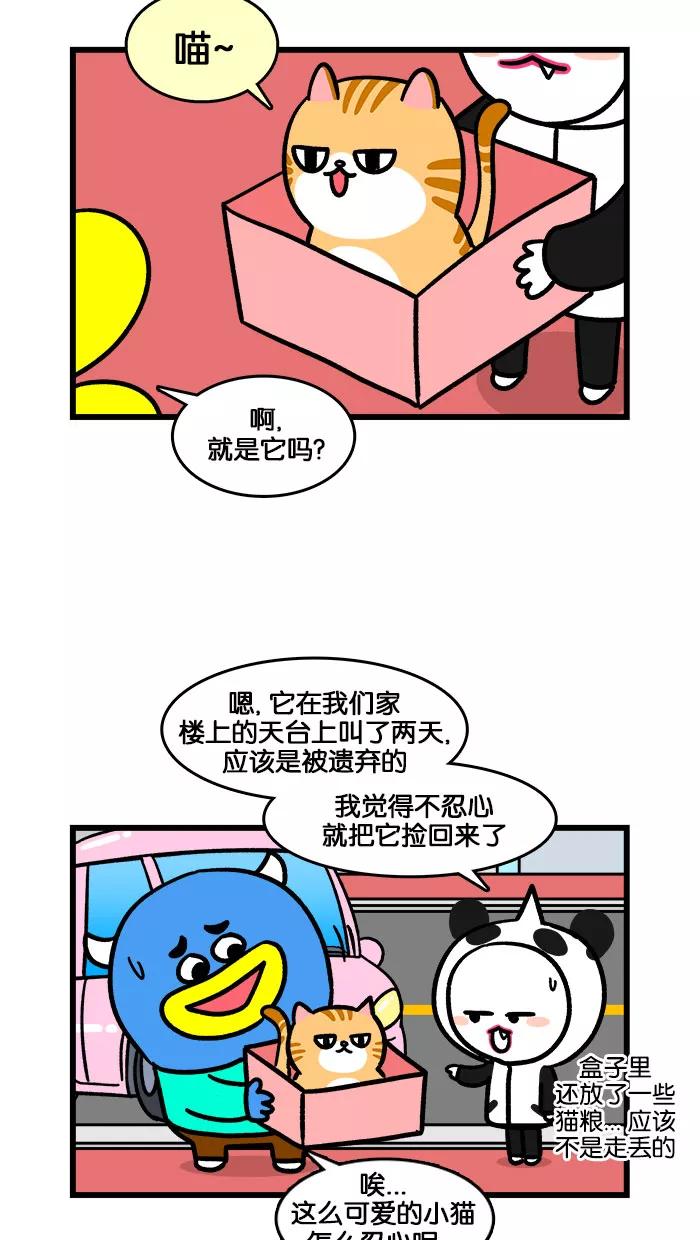 《我们结婚吧》[第198话] 小猫咪好可爱 第2页