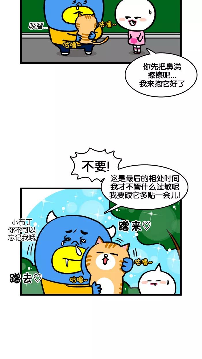 《我们结婚吧》[第198话] 小猫咪好可爱 第18页