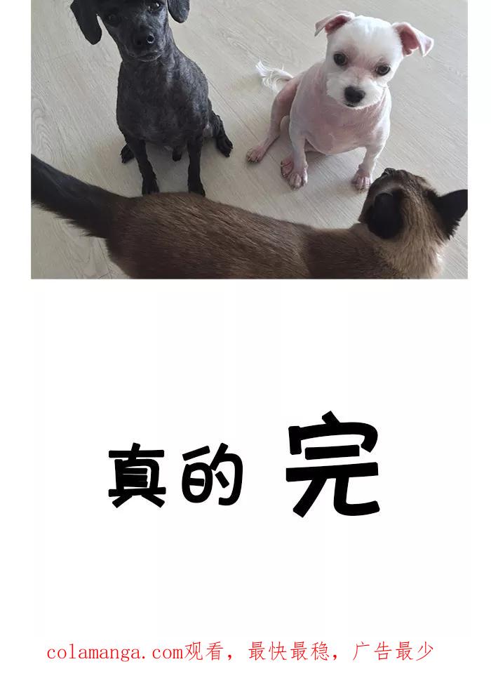 《我们结婚吧》[完结篇] 第一季后记 第18页