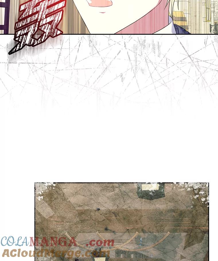 《我要和女主的妹控哥哥离婚》4.死缠烂打小公爵 第88页
