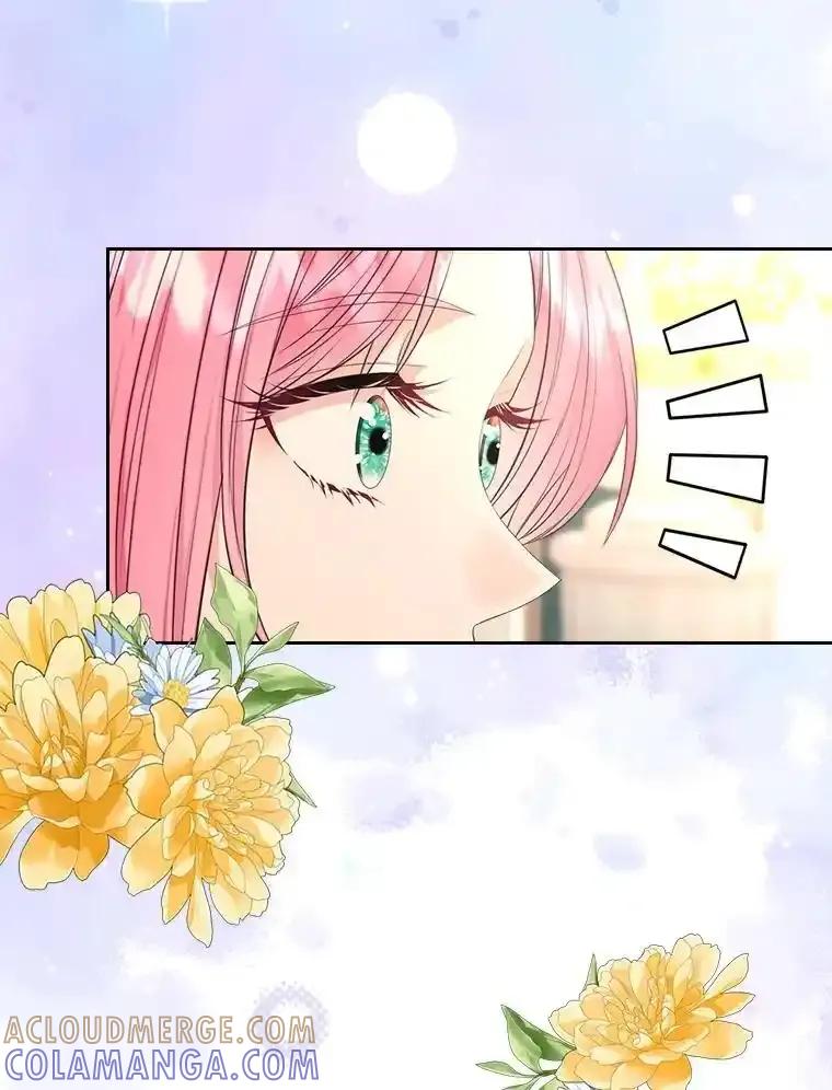 《我要和女主的妹控哥哥离婚》53.调查商团 第25页