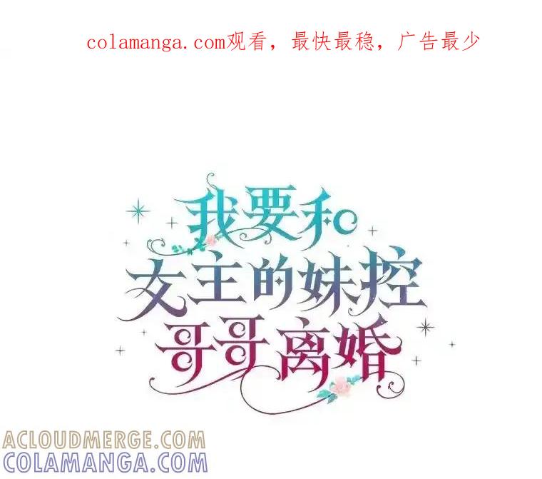 《我要和女主的妹控哥哥离婚》53.调查商团 第1页