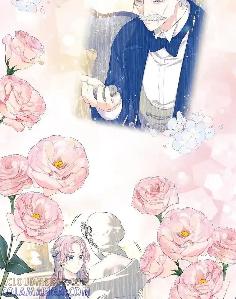《我要和女主的妹控哥哥离婚》54.我的努力 第13页