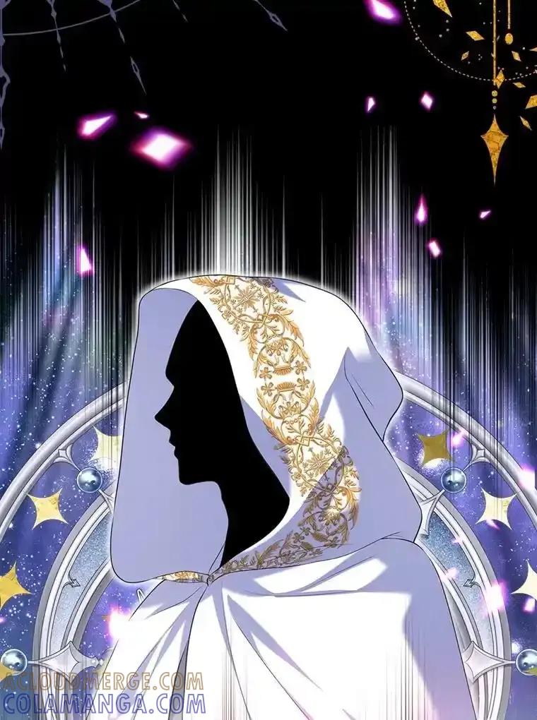 《我要和女主的妹控哥哥离婚》56.惜才之心 第17页