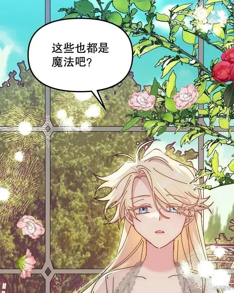 《王女在装疯卖傻》第66话 第2页