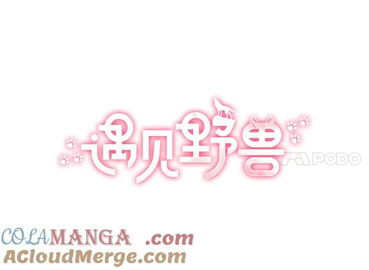 《遇见野兽》31.VVIP时装秀 第17页