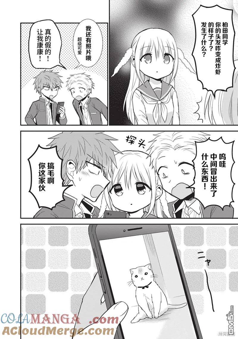 无口的柏田小姐与元气的太田君 - 第78话 - 第10张图