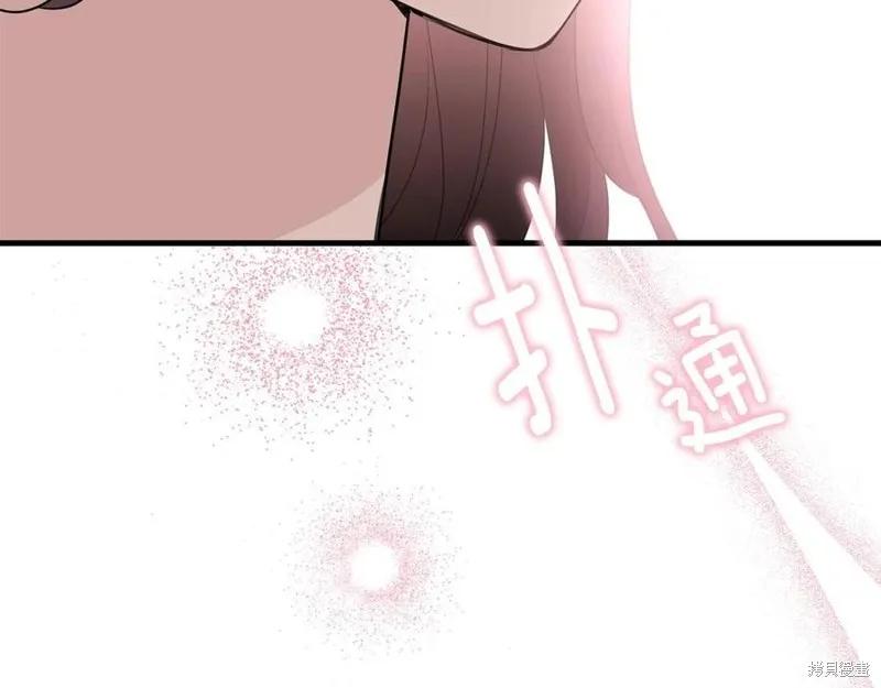 《明明是冷美人小姐却变成了忠犬大少爷》第77话 第208页