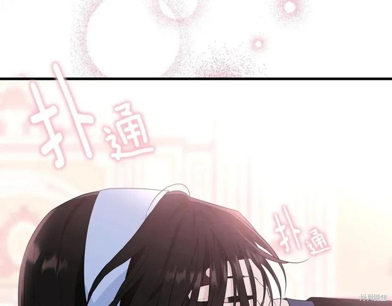 《明明是冷美人小姐却变成了忠犬大少爷》第77话 第214页
