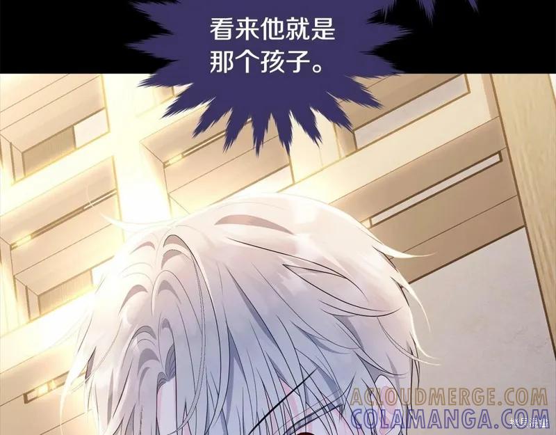 《明明是冷美人小姐却变成了忠犬大少爷》第95话 第189页