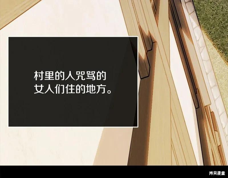 《明明是冷美人小姐却变成了忠犬大少爷》第95话 第187页
