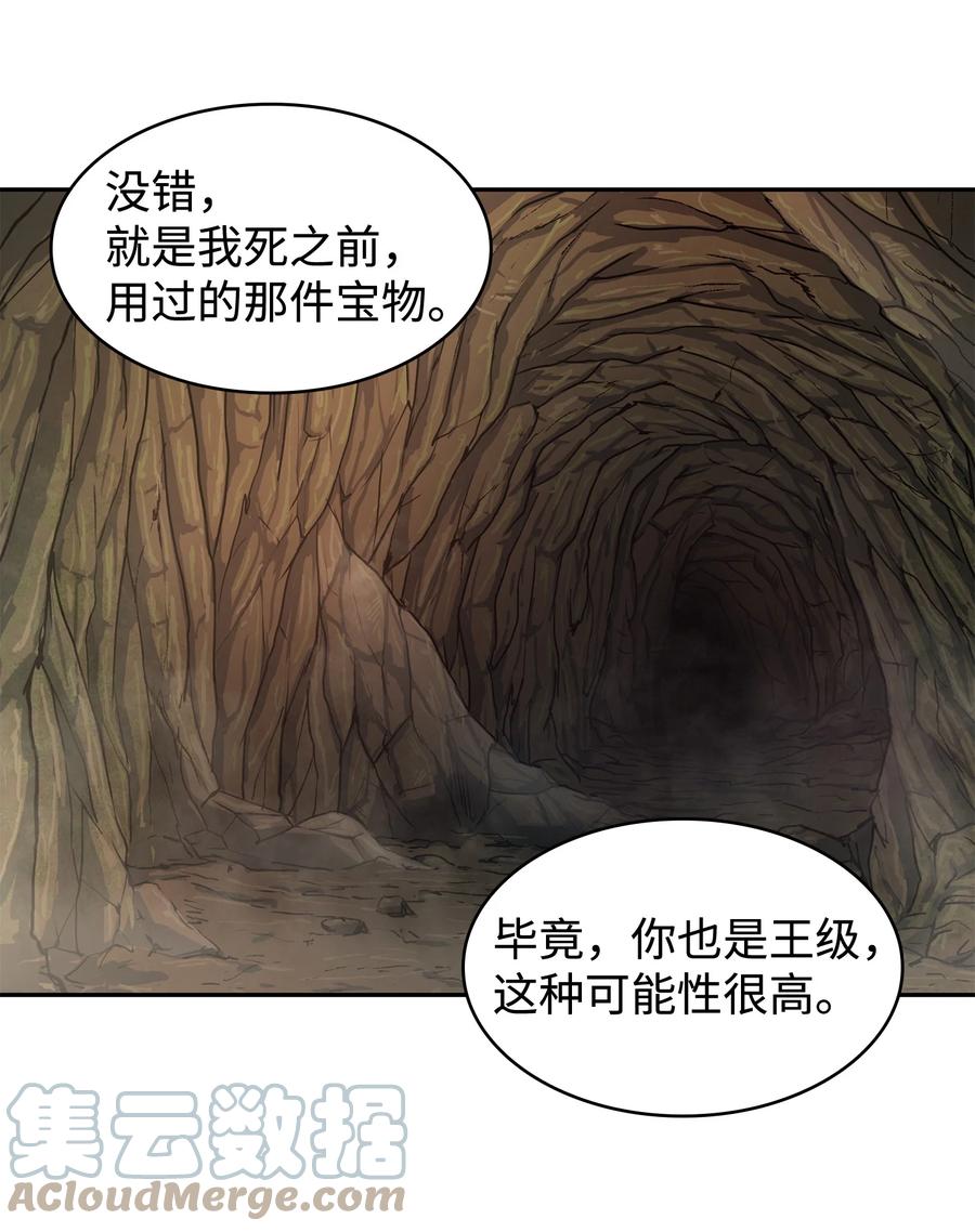 《我独自盗墓》243 不速之客 第49页