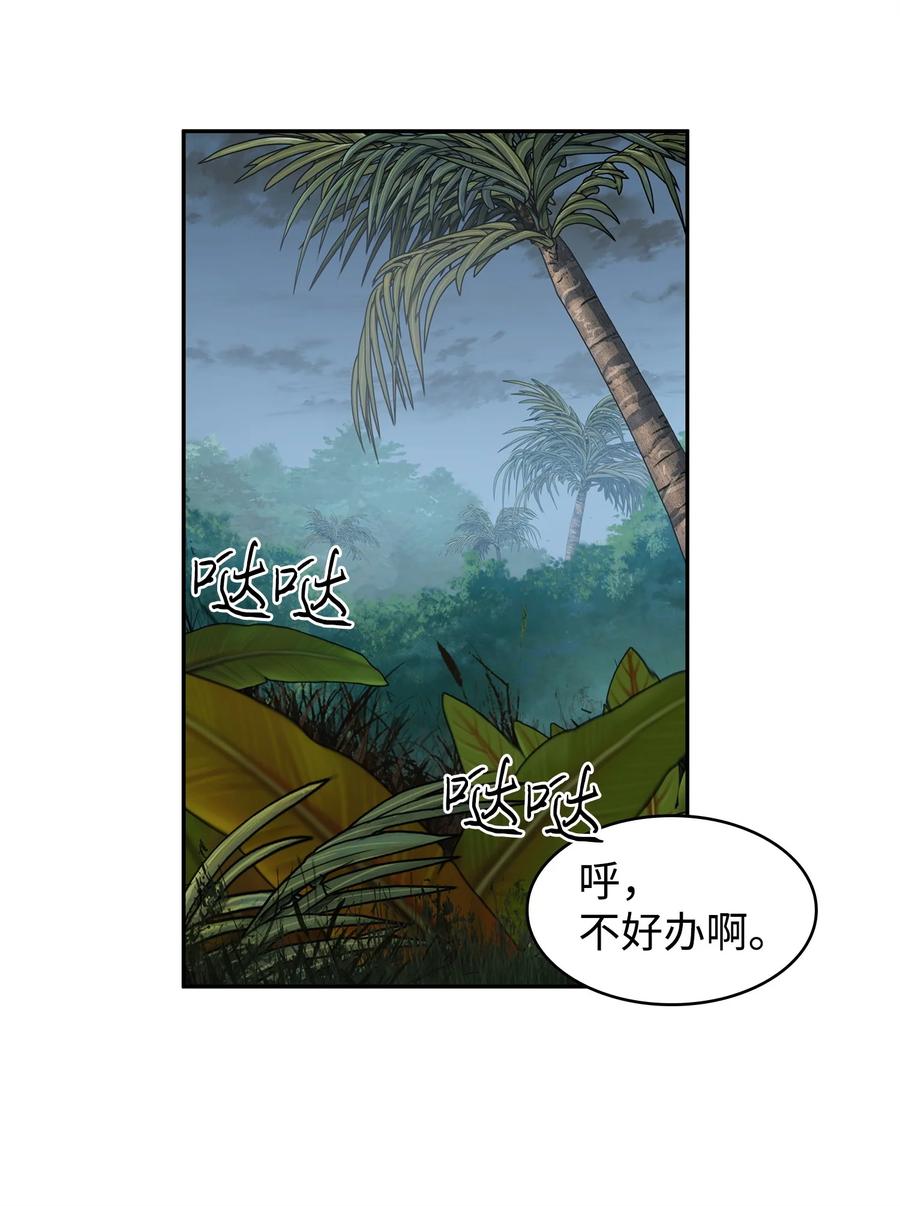 《我独自盗墓》244 乌鸦 第29页