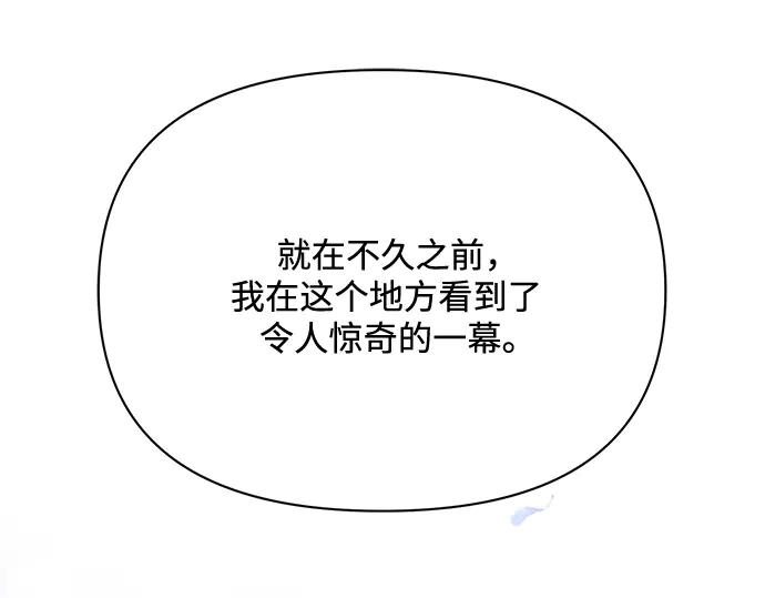 《黑暗皇女：雅什泰洛迪》第36话 第239页