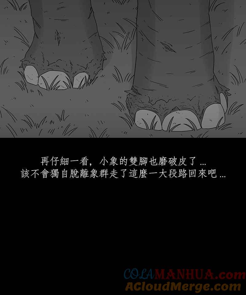 黑盒子 [第201话] 摄象者(4) 第13页