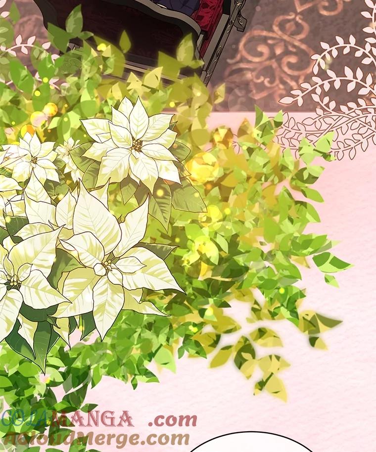 重生为神兽宝宝 - 38.筑起高墙 - 第41张图