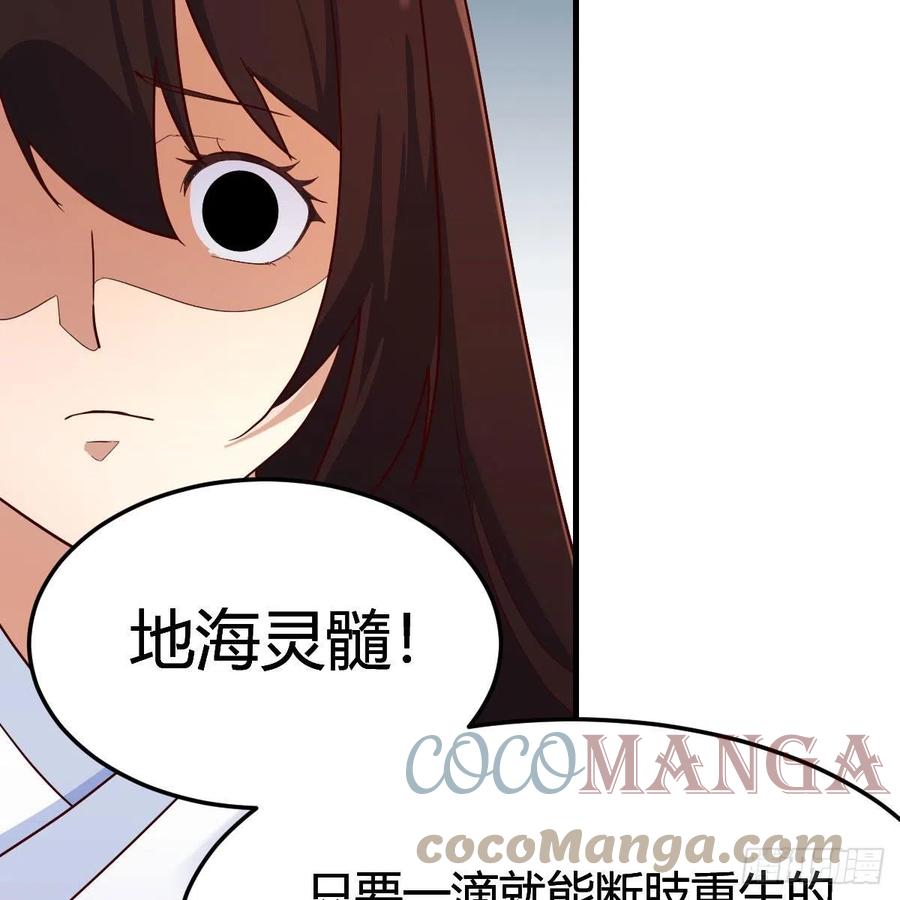 我有元婴NB症（元婴有点多） 地海灵髓 第67页