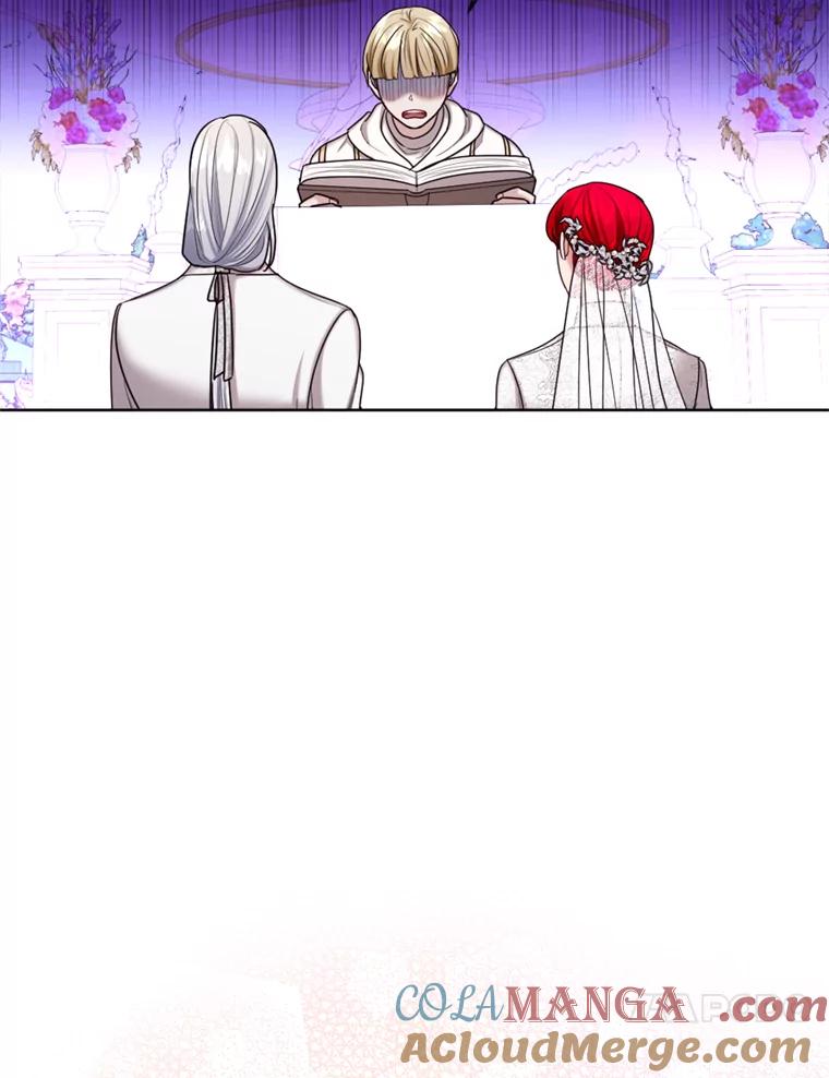 《我与仇人之子的契约婚姻》30.举行婚礼 第67页