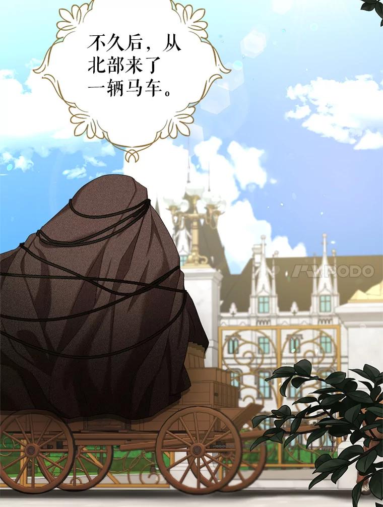 《我与仇人之子的契约婚姻》53.送保罗去北部 第74页