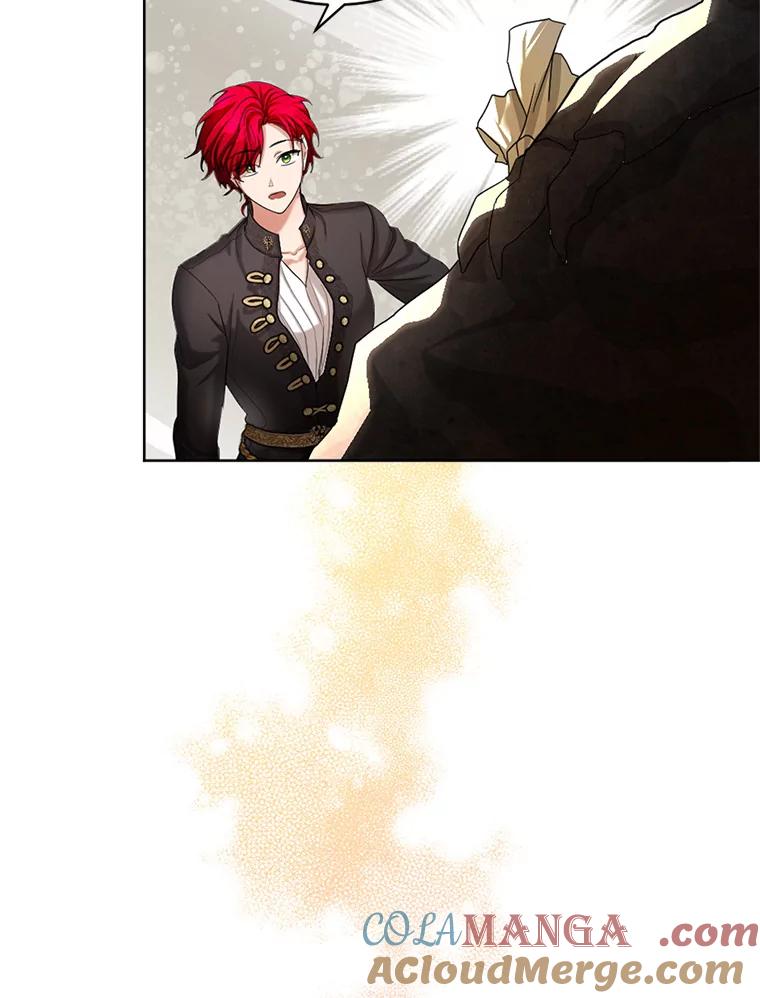 《我与仇人之子的契约婚姻》54.保罗的杰作 第16页