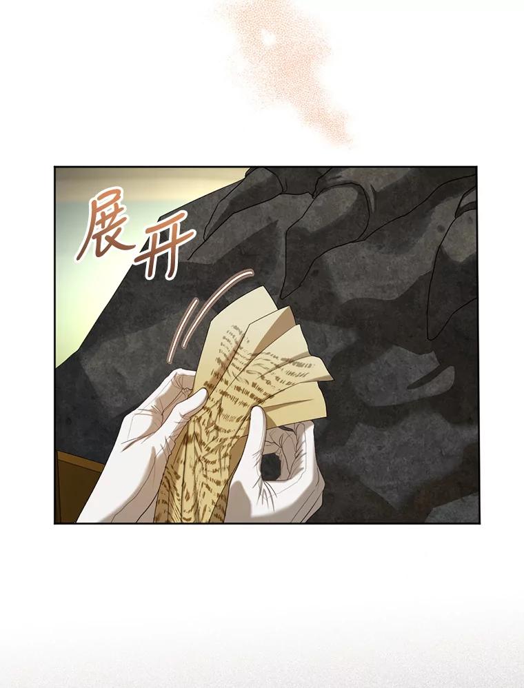 《我与仇人之子的契约婚姻》54.保罗的杰作 第17页