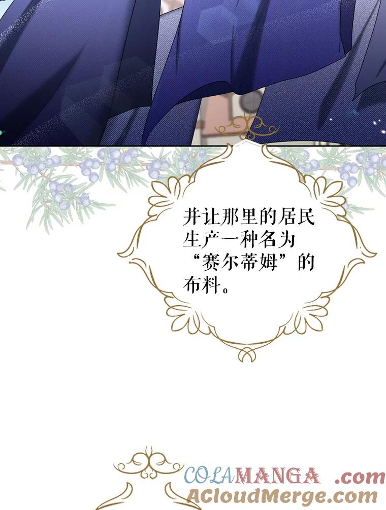 《我与仇人之子的契约婚姻》56.赛尔蒂姆事业 第19页