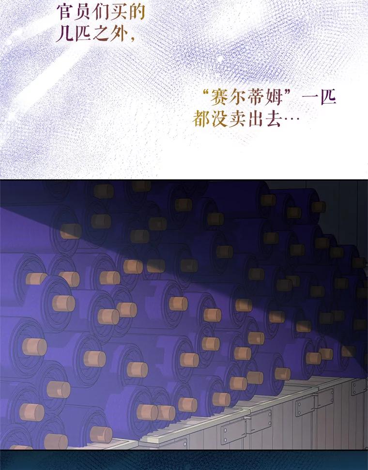 《我与仇人之子的契约婚姻》56.赛尔蒂姆事业 第33页