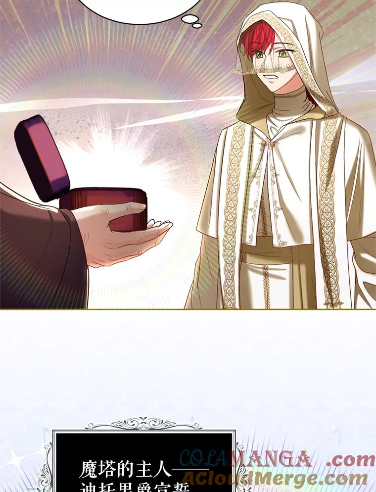 《我与仇人之子的契约婚姻》61.魔塔主 第25页
