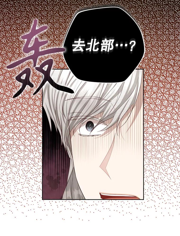 《我与仇人之子的契约婚姻》67.北部出事了 第17页