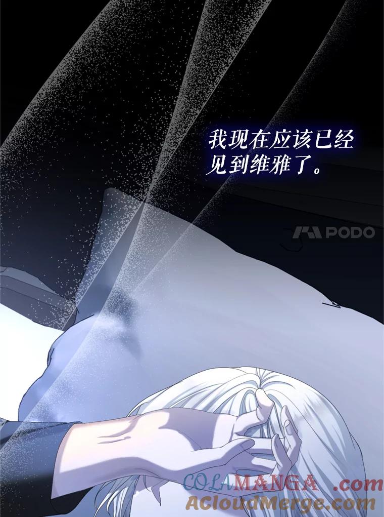 《我与仇人之子的契约婚姻》68.维雅的遗嘱 第28页