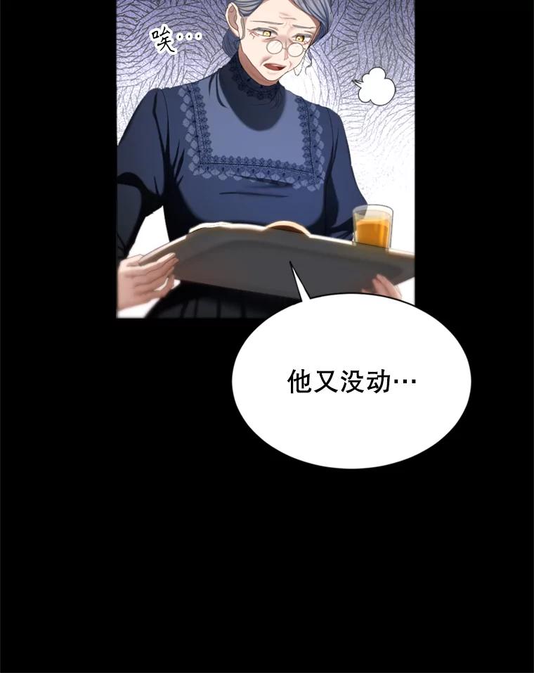 《我与仇人之子的契约婚姻》68.维雅的遗嘱 第20页