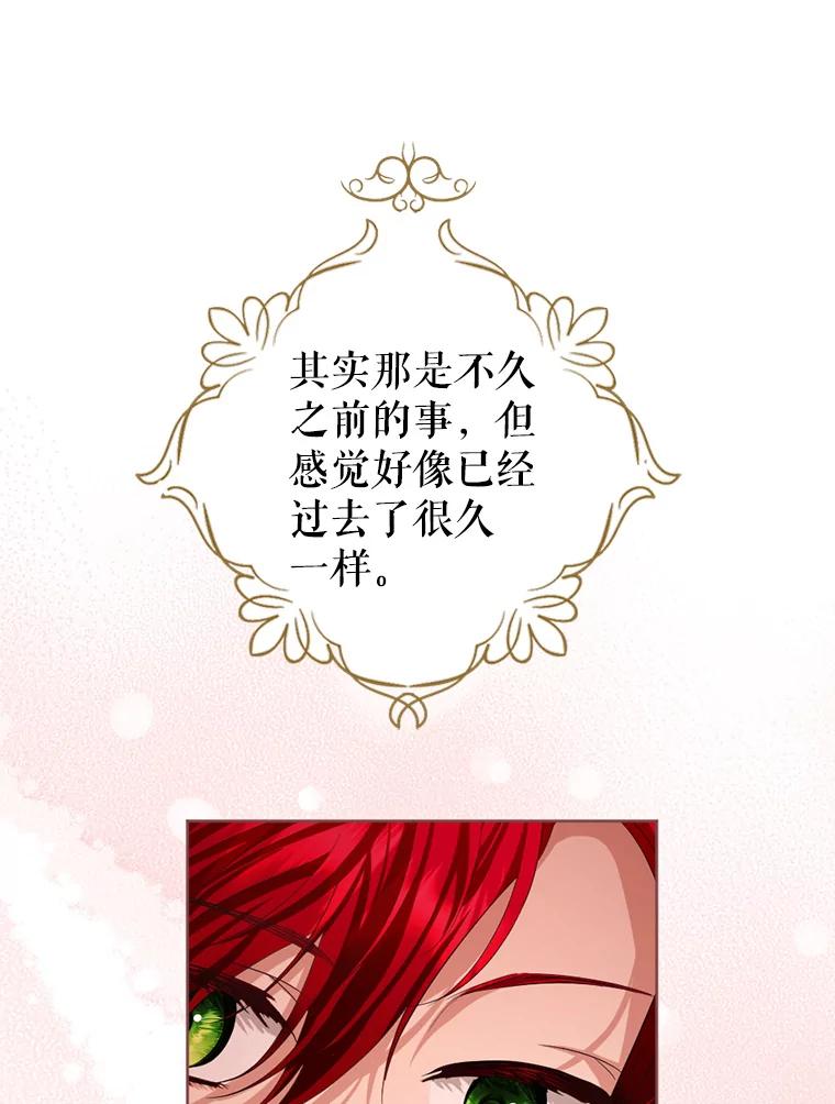 《我与仇人之子的契约婚姻》79.三公爵出战 第47页
