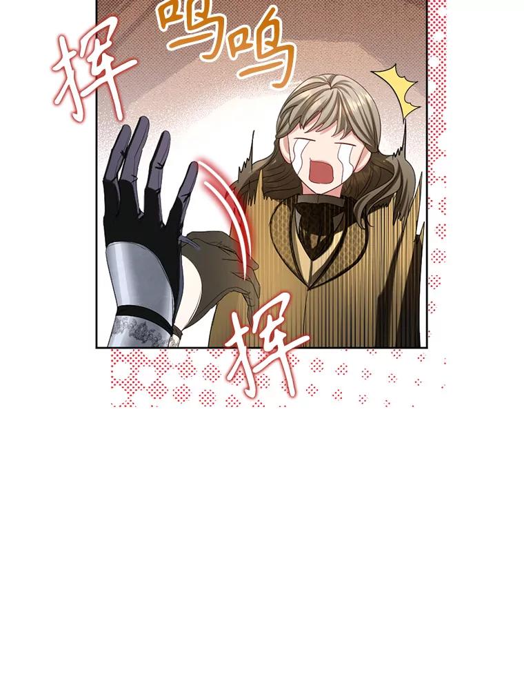 《我与仇人之子的契约婚姻》79.三公爵出战 第42页