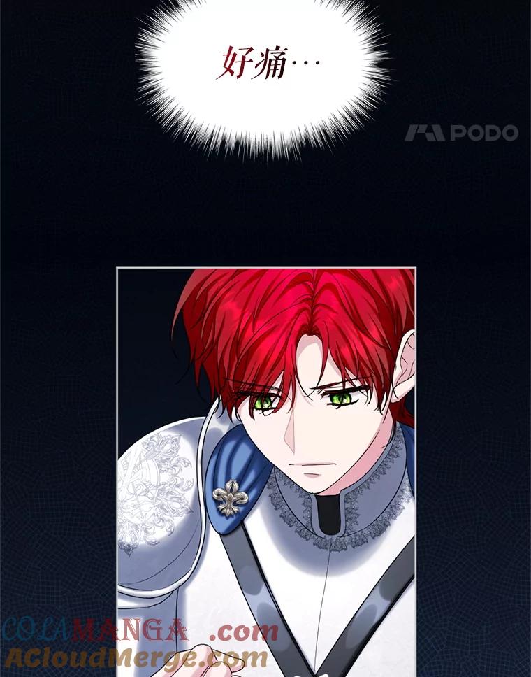 《我与仇人之子的契约婚姻》83.被操纵的路易 第81页