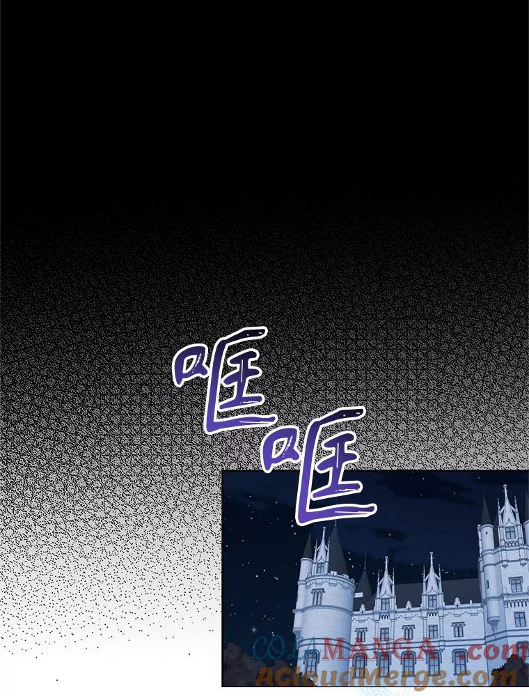 《我与仇人之子的契约婚姻》外传1.带孩子逃跑 第25页