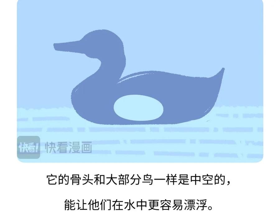 《胖达x胖达》第269话 第28页