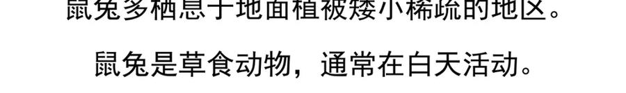 《胖达x胖达》第91话 第30页