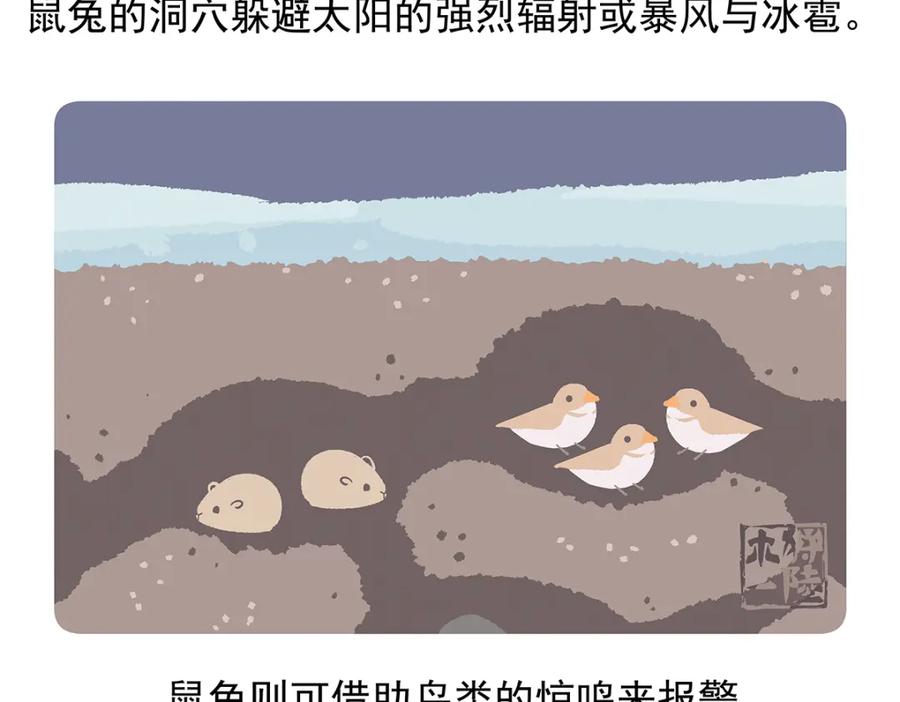 《胖达x胖达》第91话 第28页