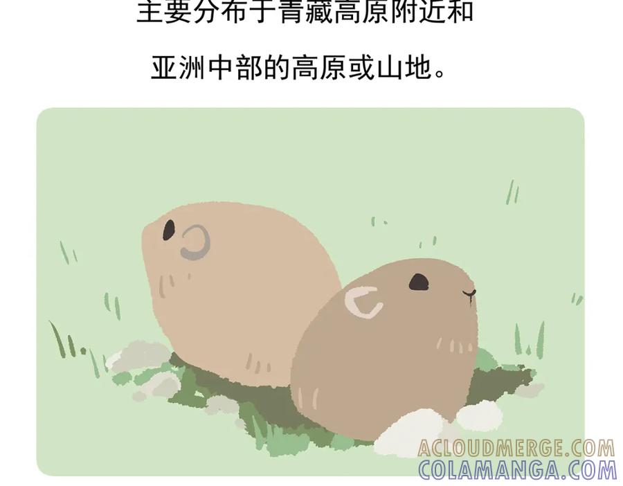 《胖达x胖达》第91话 第21页