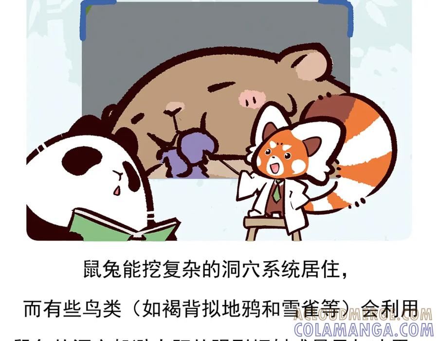 《胖达x胖达》第91话 第27页