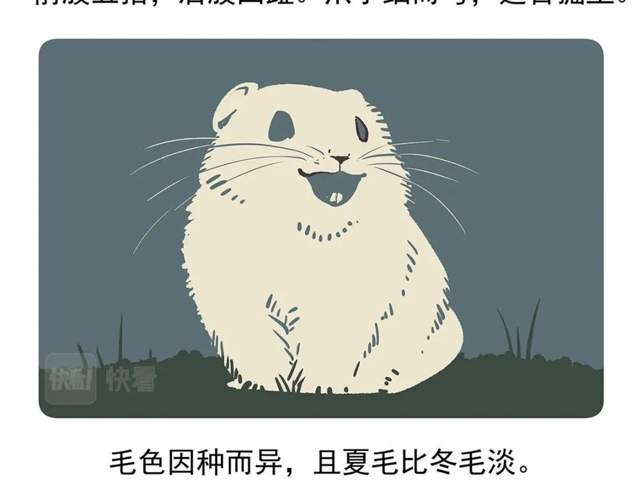《胖达x胖达》第91话 第24页