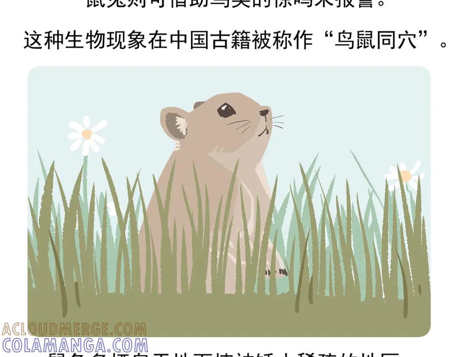 《胖达x胖达》第91话 第29页